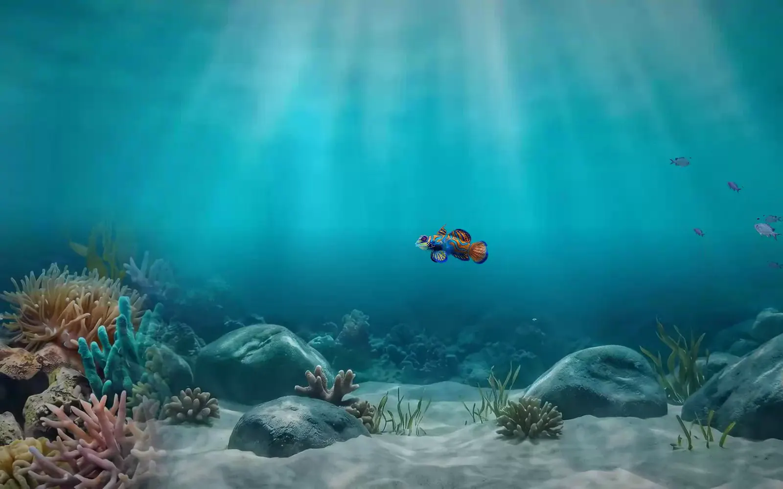 The Reef in KeptNote: a mandarinfish over rocks and corals in bright shallow water, a turtle passing above.